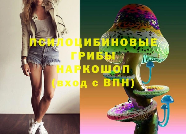 сатива Алексин