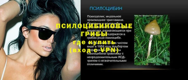 дживик Алзамай