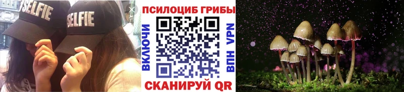 ссылка на мегу зеркало  Менделеевск  Галлюциногенные грибы мухоморы 