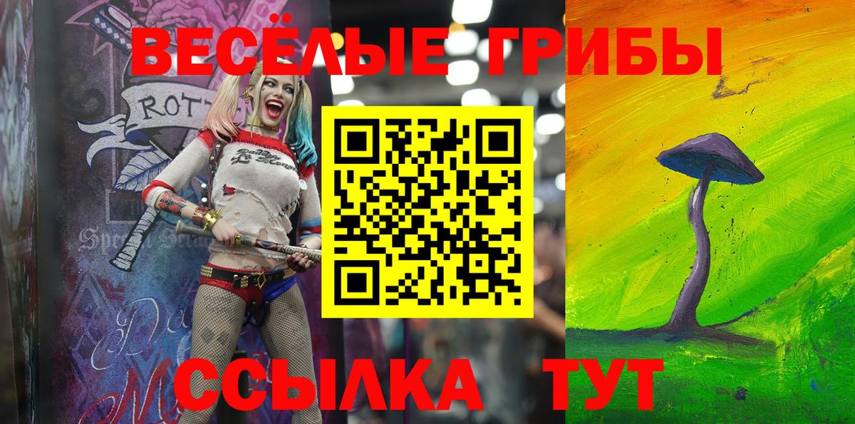 Псилоцибиновые грибы Psilocybine cubensis  Галлюциногенные грибы ЛСД  Менделеевск  Вход с VPN 