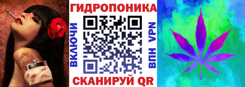 как найти наркотики Менделеевск Каннабис индика